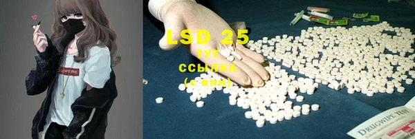 PSILOCYBIN Бугульма