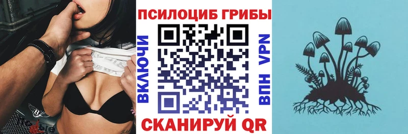 купить наркотики цена  Дорогобуж  mega зеркало  Псилоцибиновые грибы Cubensis 